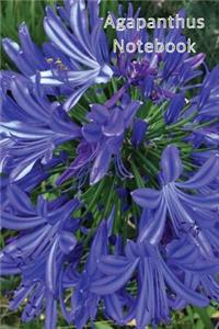 Agapanthus Notebook