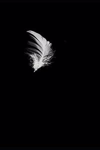 Always Believe in Yourself Even in the Darkest Moments