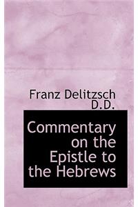 Commentary on the Epistle to the Hebrews, Volume 2