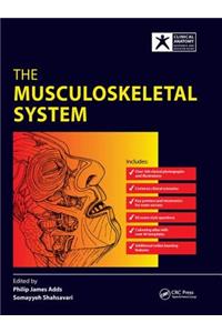 The Musculoskeletal System
