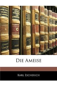 Die Ameise