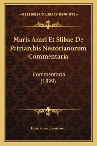 Maris Amri Et Slibae De Patriarchis Nestorianorum Commentaria