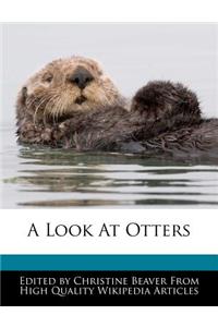 A Look at Otters