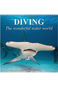 Diving - the Wonderful Water World 2017