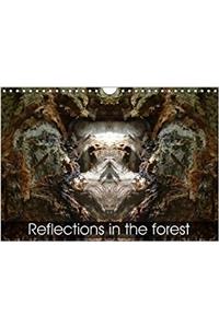 Reflections in the Forest 2018