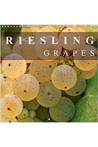 Riesling Grapes 2018