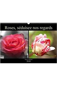 Roses, Seduisez Nos Regards 2018