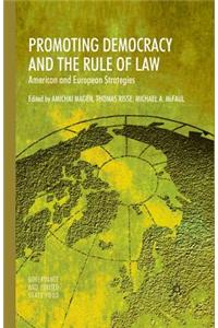 Promoting Democracy and the Rule of Law