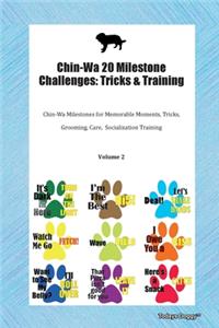 Chin-Wa 20 Milestone Challenges