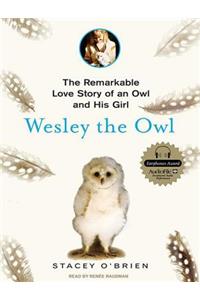 Wesley the Owl