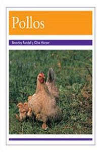 Pollos (Chickens)