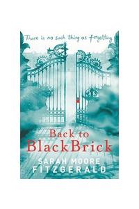 Back to Blackbrick