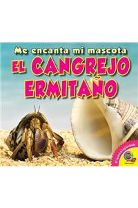 Cangrejo Ermitaño