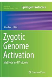 Zygotic Genome Activation