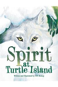 Spirit at Turtle Island