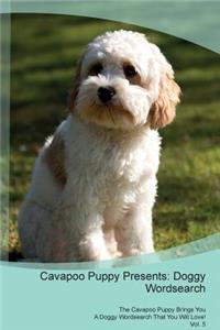 Cavapoo Puppy Presents