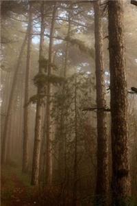 Dark Trees Journal