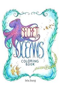 Secret Oceans