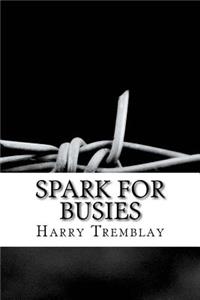 Spark for Busies