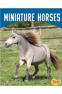 Miniature Horses