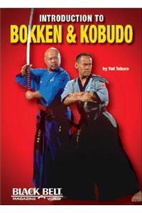 Introduction to Bokken and Kobudo