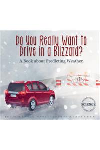 Do You Really Want to Drive in a Blizzard?