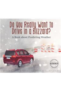 Do You Really Want to Drive in a Blizzard?