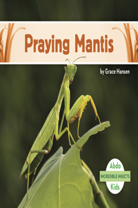 Praying Mantis