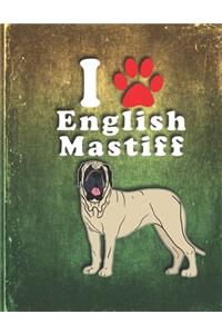 English Mastiff