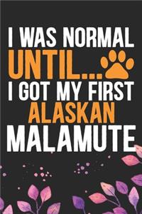 I Was Normal Until I Got My First Alaskan Malamute
