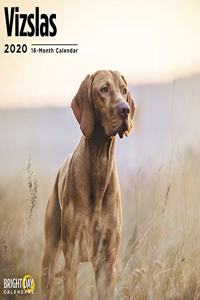 VIZSLAS WALL CALENDAR 2020