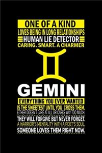 Gemini Diary
