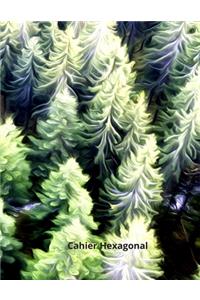Cahier Hexagonal