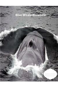 Blue Whale Blowhole wide ruled line paper Composition Book
