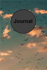 Journal: 120 Page Blank Lined Journal/Notebook for Writing (6 X 9)