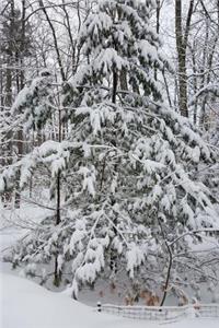 2019 Daily Planner Woods After Snowstorm Winter Weather 384 Pages