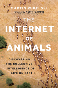 The Internet of Animals