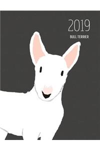 2019 Bull Terrier