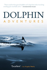 Dolphin Adventures