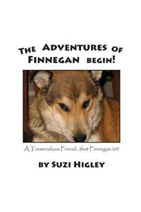 The Adventures of Finnegan Begin!