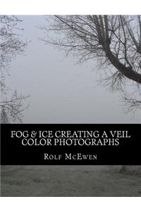 Fog & Ice Creating a Veil - Color Photographs