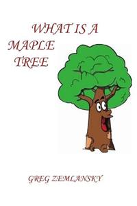 What Is A Maple Tree