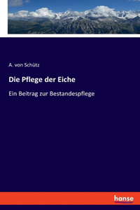 Pflege der Eiche