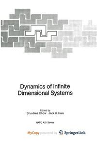 Dynamics of Infinite Dimensional Systems