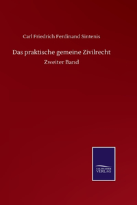 praktische gemeine Zivilrecht
