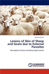 Lesions of Skin of Sheep and Goats Due to External Parasites