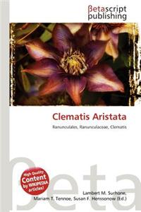 Clematis Aristata
