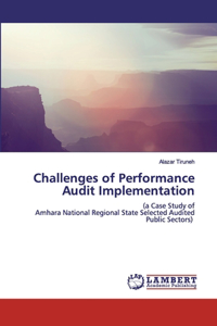 Challenges of Performance Audit Implementation