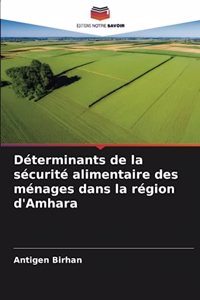 Déterminants de la sécurité alimentaire des ménages dans la région d'Amhara