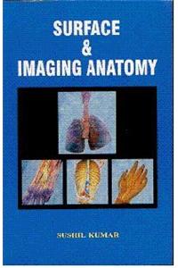 Surface and Imaging Anatomy